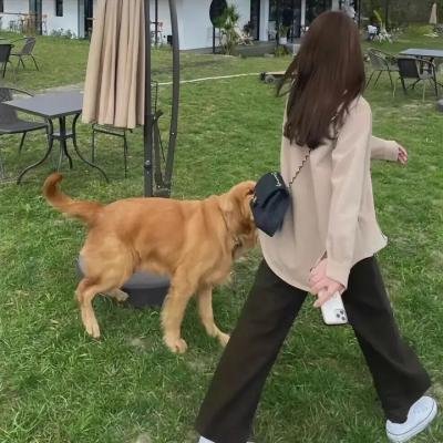 亚历克斯·克罗斯第一季